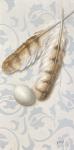 Barn Owl Feathers & Nest Egg by Jhenna Quinn Lewis