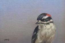 Study of Downy Woodpecker by Jhenna Quinn Lewis